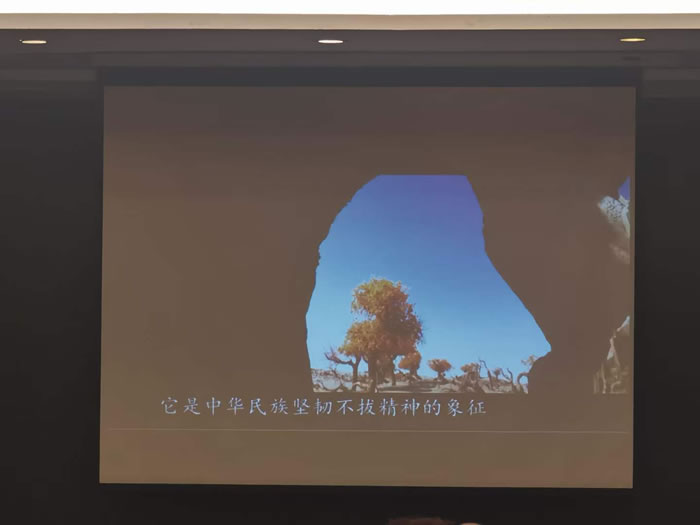 綿陽中旅行假日旅行社舉行胡楊林、南疆專列推薦會